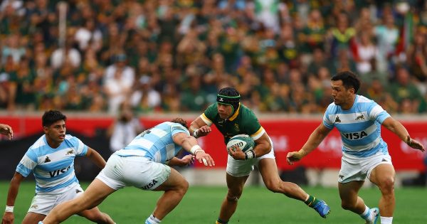 En Sudáfrica, Los Pumas buscarán la hazaña frente a los Springboks en un duelo clave del Rugby Championship: hora, TV y formaciones