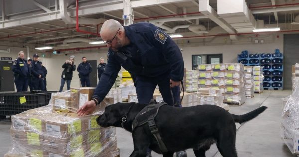Trump mantendrá aranceles para presionar a México, Canadá y China sobre el fentanilo: asesores
