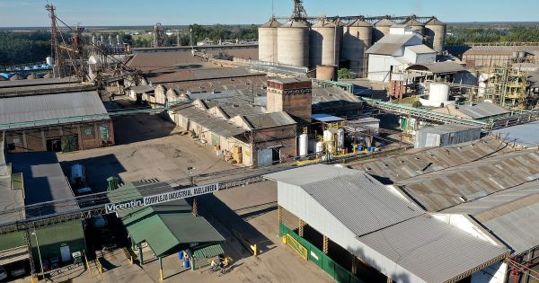 Vicentin: con una mayor oferta a los acreedores, una empresa busca evitar la quiebra