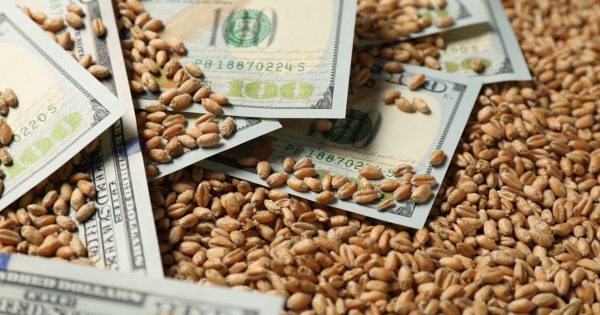 El aporte de dólares de la agroexportación podría caer hasta 80% en los dos últimos meses del año, estimó una consultora