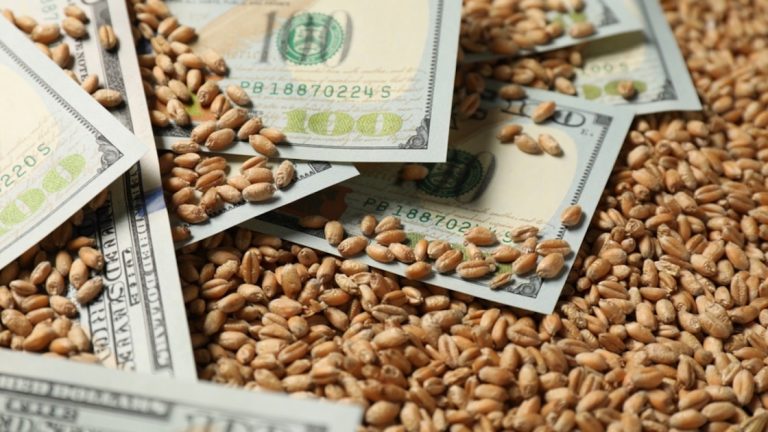 El aporte de dólares de la agroexportación podría caer hasta 80% en los dos últimos meses del año, estimó una consultora